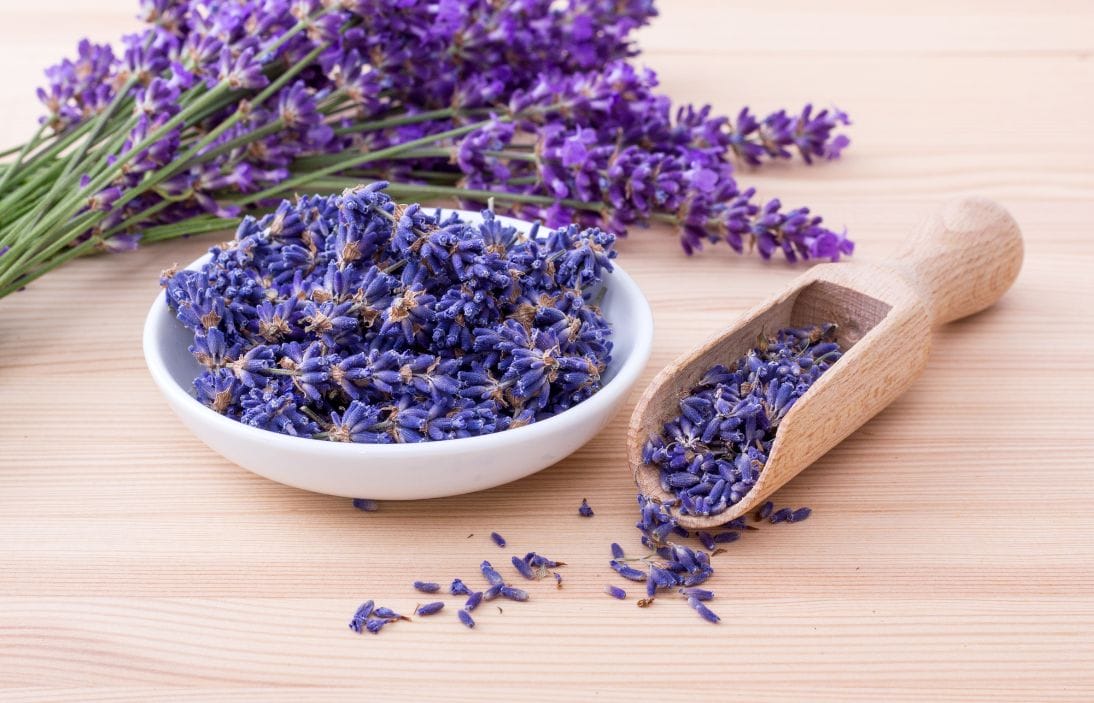 La Lavanda en Velas, Inciensos y Ambientadores Un Toque Mágico para tu Hogar