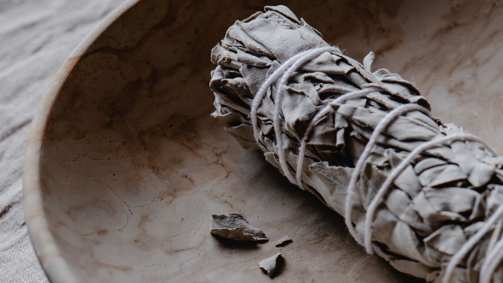 5 Plantas Sagradas para Sahumar tu Casa y Eliminar Malas Energías